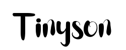 Tinyson - logo